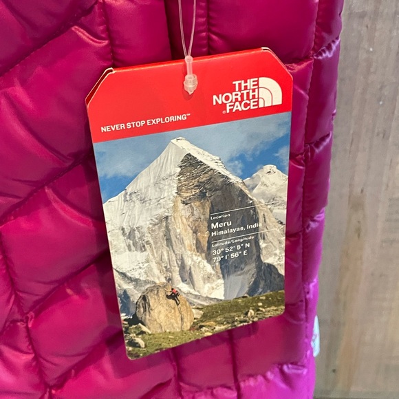 The Northface Thermoball Hooded Jacket/Parka ~ Dramatic Plum ~ NWT! - Picture 11 of 16